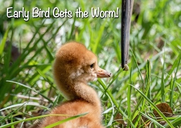 Early Bird Registration for Annual Celebration ends March 22