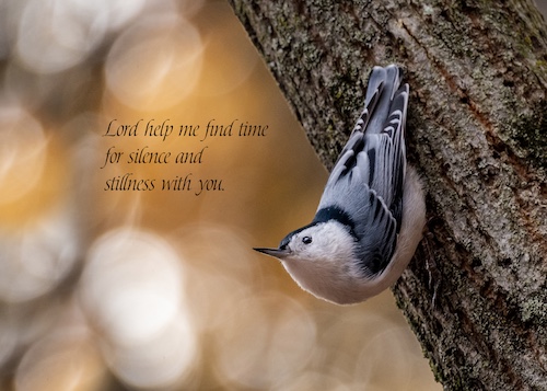 A Lifetime Calling – A Devotional